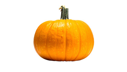 A vibrant, perfectly round orange squash with a green stem against a stark, black background