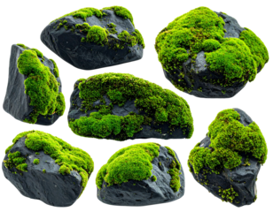 Assortment of dark, textured stones covered in vibrant green moss, isolated on a white backdrop