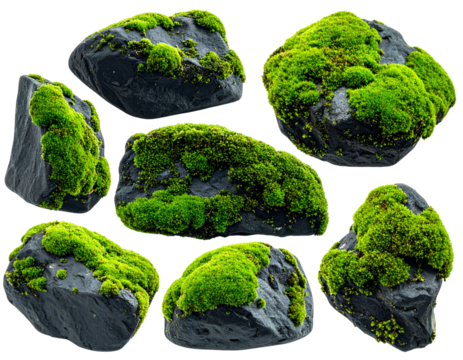 Assortment of dark, textured stones covered in vibrant green moss, isolated on a white backdrop