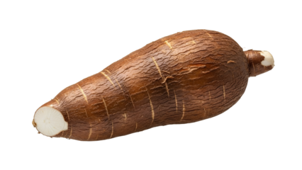Isolated cassava root against a stark white backdrop, showcasing its textured surface and natural earthy tones, ideal for showcasing the root
