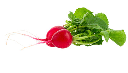 Close-up of two bright red root vegetables, green leaves, and white root hairs against black