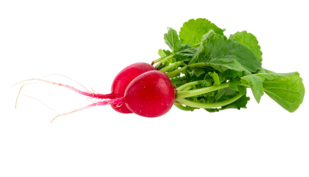 Close-up of two bright red root vegetables, green leaves, and white root hairs against black