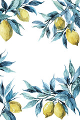 Detailed watercolor painting of a lemon tree branch with yellow citrus fruits and green leaves - vector illustration