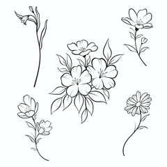 Vector set of fine line flowers. Doodle ornamental floral elements, nature botanical leaves and branches