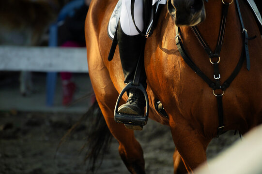woman's leg in white trousers in a stirrup, riding clothes and boots, close-up. Dressage, equestrian competition