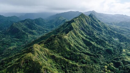 Fototapeta premium Aerial view of a lush, tropical mountain range with jagged ridges and dense green forest. Concept Drone Photography, Tropical Mountains, Jagged Ridges, Dense Green Forest, Aerial Landscape