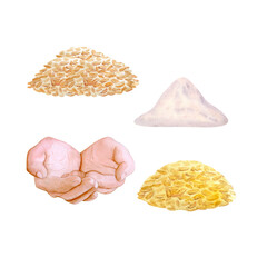 Oat flakes, golden wheat grains, soft flour mound and cupped hands watercolor set isolated on white. Ideal for packaging, organic branding, recipe visuals, fresh food concepts and product design
