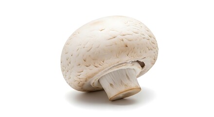 Fresh White Button Mushroom Isolated On A Pure White Background Studio Shot Of A Single Whole Champignon Ready For Cooking Culinary Use Or Health Food Advertising