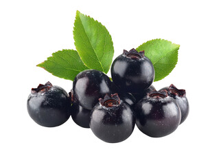 Fresh aronia berries with vibrant green leaves offer a healthy and delicious treat
