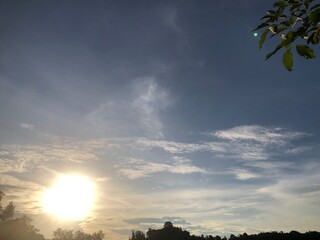 sunset in the forest