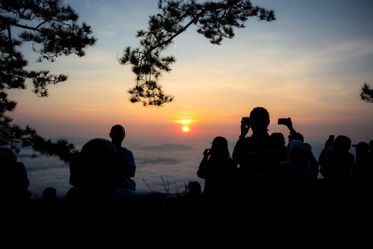 Nature lovers hike up to experience misty mornings and winter sunrises amidst the tranquil, beautiful mountaintop forests, offering a sense of relaxation. -silhouette