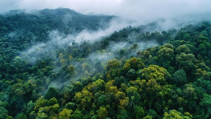 Aerial view of a lush rainforest with fog weaving through the treetops on a misty mountain slope. Concept Aerial Photography, Rainforest Landscape, Fog and Mist, Misty Mountain Slopes