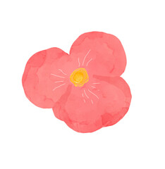 flowers illustration transparant background