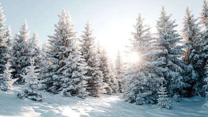 Snowy winter forest with sun peeking through snow-covered evergreen trees. Concept Winter Forest, Sunlit Snow, Snow-Covered Evergreens, Golden Hour Lighting, Quiet Snowy Landscape