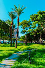 The view of Taichung City in Taiwan, 2025