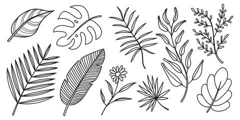 Set of botanical leaf illustrations in minimalist black-and-white line art, showcasing diverse leaf forms for design, decoration, and branding projects