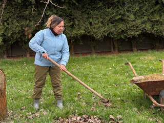 A woman raking leaves in a garden, wearing a light blue jacket and green pants, with a wheelbarrow nearby