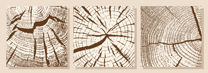 Set of backgrounds with wood texture. Growth rings and cracks in a cross-section of a tree. Vector illustration.