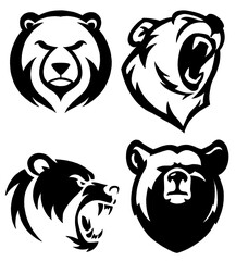drawing bear illustrations design for template.