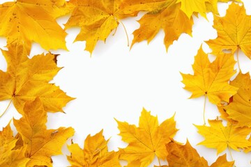 Fototapeta premium Golden autumn maple leaves frame against white background Seasonal fall on transparent background