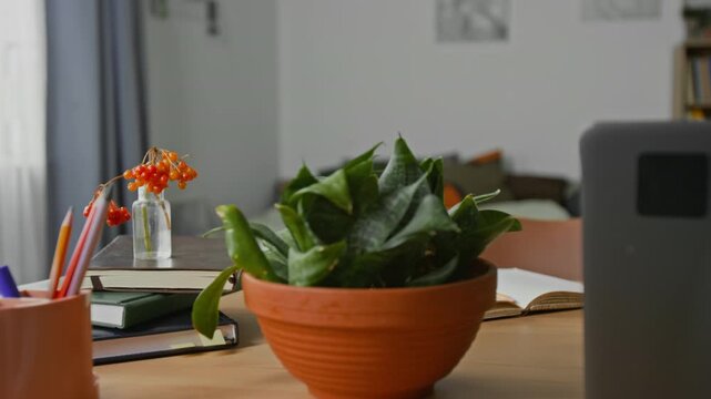 Close-up no people shot of potted plant on desk with laptop, stacked books and stationery in cozy bedroom