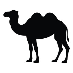 Silhouette of a Dromedary Camel Keywords: camel, dromedary, animal, silhouette, black, white