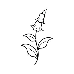 Minimalist foxglove flower line art featuring a simple bellflower outline design Vector illustration © Amit