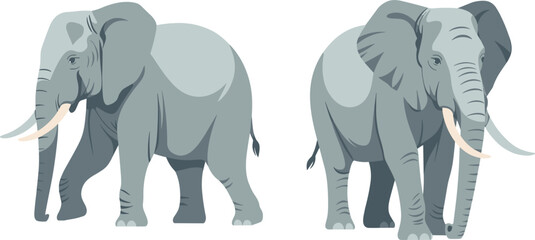 Set of Two African Elephant Illustrations, Detailed Flat Design Wildlife Animal Graphic, Safari Nature Conservation Vector Clipart Design