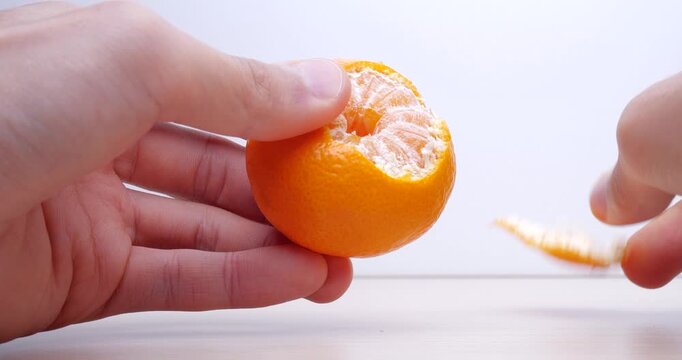 891/抽象画風/柑橘類/F10号891/抽象画風/柑橘類/F10号 891/抽象画風/柑橘類/F10号891/抽象画風/柑橘類/F10号 891/抽象画風