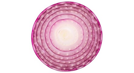 red onion isolated on white background, full depth of field