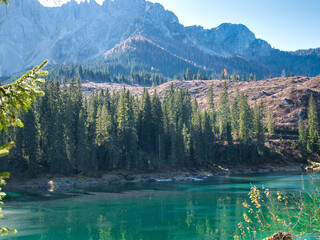 Fototapete bei efototapeten.de bestellen   