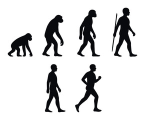 Silhouette evolution progression from primate to modern human