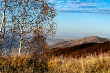 Obraz premium autumn in the mountains