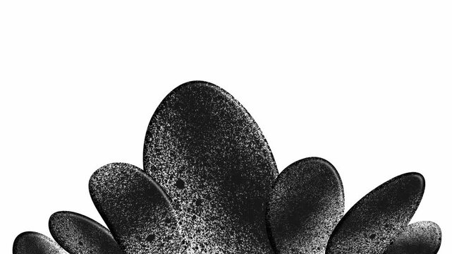 Large textured black stone shapes arranged artistically on white