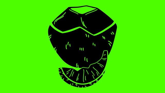 coconut illustration fruit silhouette video logo green icon screen outline tropical fresh food half natural vegetarian white coco healthy shape gourmet vector graphic background