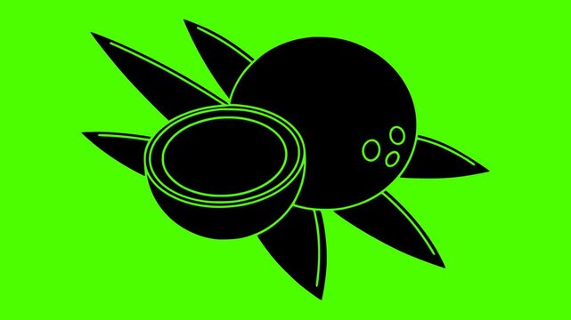 coconut illustration fruit silhouette video logo green icon screen outline tropical fresh food half natural vegetarian white coco healthy shape gourmet vector graphic background