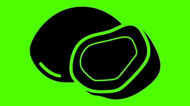 coconut illustration fruit silhouette video logo green icon screen outline tropical fresh food half natural vegetarian white coco healthy shape gourmet vector graphic background