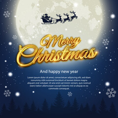 Social Media Post of Merry Christmas Celebration