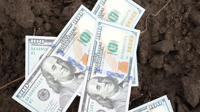 Hand puts American dollars on plowed black soil. Land trade, land market, real estate.