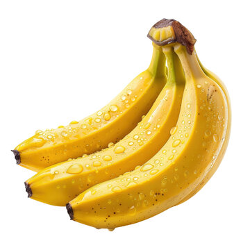 Fresh ripe banana bunch with water droplets, yellow tropical fruit, realistic food PNG for grocery ads and packaging isolated PNG with Transparent Background