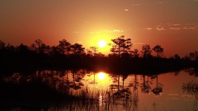 Witness the stunning sunset over Yelnya swamp in Belarus, where the calm waters reflect the vibrant colors of the sky while unique flora and fauna thrive in this natural reserve