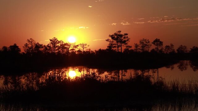 Yelnya swamp offers stunning views of the sunset reflected in calm waters. This nature reserve showcases diverse wildlife and serene landscapes in Belarus, perfect for nature enthusiasts