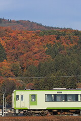 紅葉に色づく山々を背景に飯山線を走行するキハ110系気動車_2025/11/23撮影