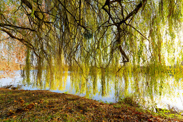 Oise river bank in Avers-sur-Oise village	