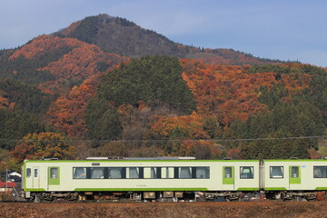 紅葉に色づく山々を背景に飯山線を走行するキハ110系気動車_2025/11/23撮影
