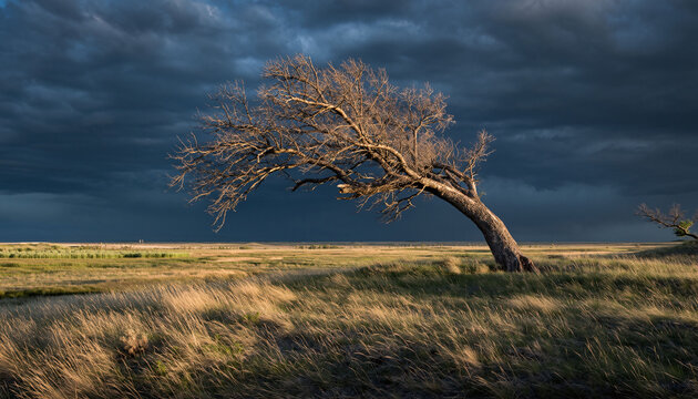 A lone tree stands resilient in a grassy field against a dramatic, stormy sky. Symbolizes strength, perseverance, or the beauty of nature. Ideal for illustrating concepts of resilience.