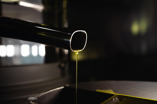 Fresh golden olive oil flowing from metal pipe after filtration. Final stage of EVO oil production in a modern oil mill.