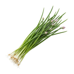 Fresh Flowering Chives Bunch Isolated On Background