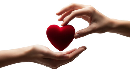 Obraz premium Giving Heart Kindness Love Presenting Red Heart Hands Black Background Velvet Touch Donation Valentine s Health Sharing