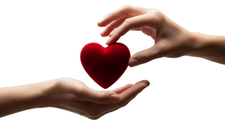 Giving Heart Kindness Love Presenting Red Heart Hands Black Background Velvet Touch Donation Valentine s Health Sharing